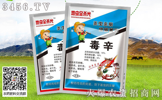 地下害蟲(chóng)有哪些 如何防治 地下害蟲(chóng)用什么藥好 地下害蟲(chóng)有哪些 如何防治 地下害蟲(chóng)用什么藥好