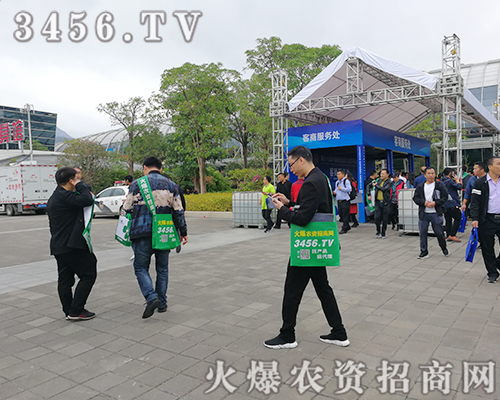 r(nng)YW(wng)־P(yng)鞢M2019ֲ(hu)