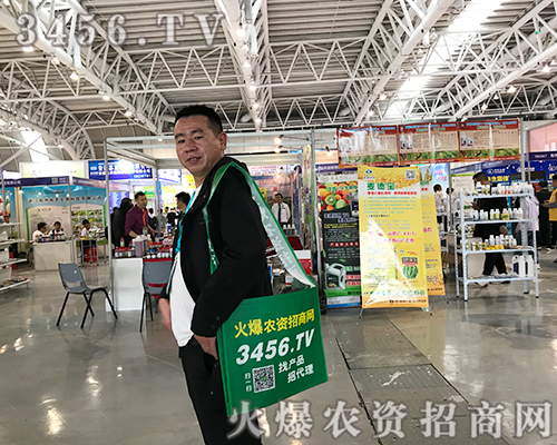 ־P(yng)(zhn)r(nng)YW(wng)(zhn)2019ֲ(hu)