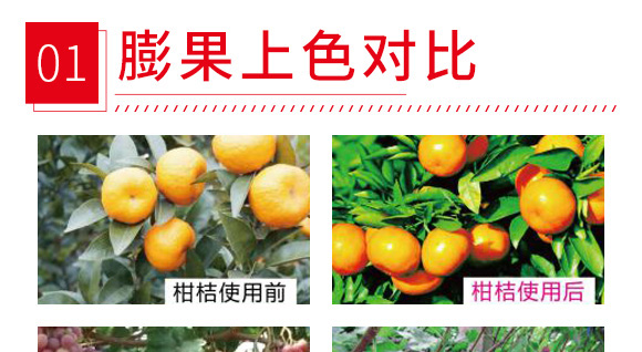 碳酶黃腐酸鉀-禾蓓康-龍燈 碳酶黃腐酸鉀-禾蓓康-龍燈