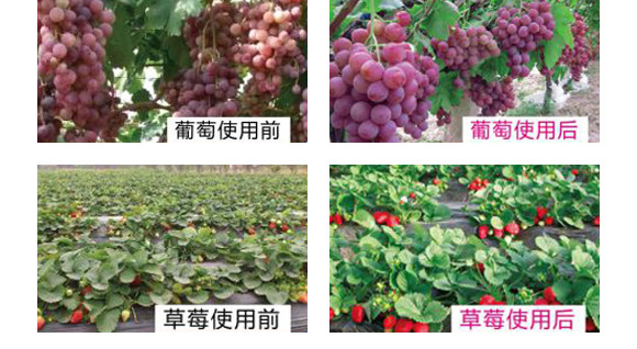 碳酶黃腐酸鉀-禾蓓康-龍燈 碳酶黃腐酸鉀-禾蓓康-龍燈