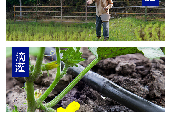 灞變笢寮哄啘鐢熺墿縐戞妧鏈夐檺鍏徃浜у搧璇︽儏欏?_08.jpg 灞變笢寮哄啘鐢熺墿縐戞妧鏈夐檺鍏徃浜у搧璇︽儏欏?_08.jpg