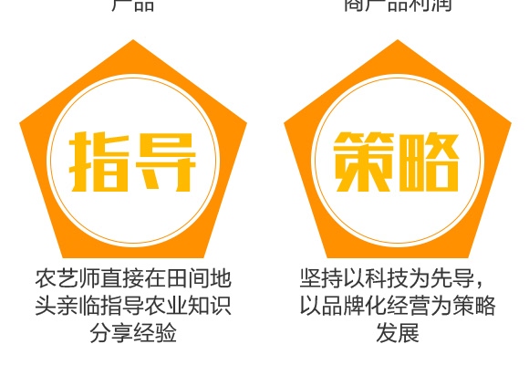 花生高產(chǎn)一遍成-花大哥-三禾肥業(yè) 花生高產(chǎn)一遍成-花大哥-三禾肥業(yè)