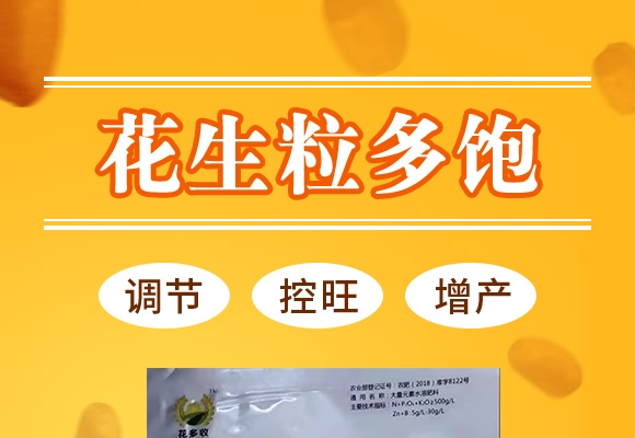高硼高鉬型花生粒多飽-花多收-三禾肥業(yè) 高硼高鉬型花生粒多飽-花多收-三禾肥業(yè)