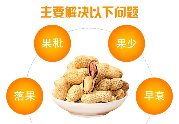 花生千斤寶-花多收-三禾肥業(yè) 花生千斤寶-花多收-三禾肥業(yè)