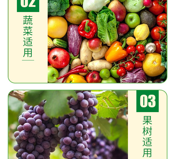 大量元素水溶肥20-20-20+TE(平衡型)-德邦葉菲 大量元素水溶肥20-20-20+TE(平衡型)-德邦葉菲