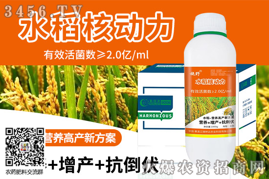 擱田一般在水稻的什么時(shí)候 何時(shí)合適 水稻擱田作用 擱田一般在水稻的什么時(shí)候 何時(shí)合適 水稻擱田作用