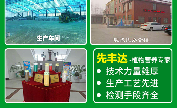 生物有機(jī)肥-果蔬8+2-先豐達(dá) 生物有機(jī)肥-果蔬8+2-先豐達(dá)