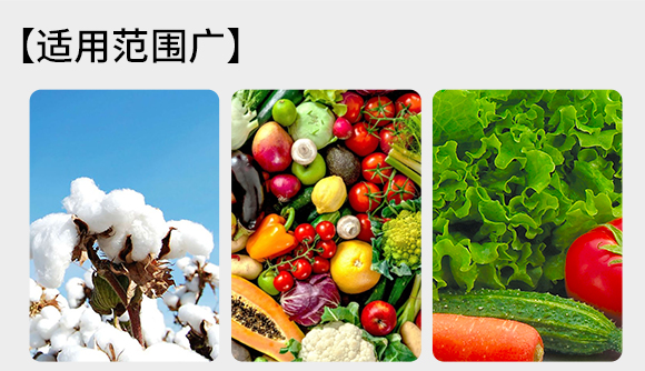 瀹濅赴涓囬殕鑲ヤ笟鏈夐檺鍏徃(閽劇敯瀹?_04.jpg 瀹濅赴涓囬殕鑲ヤ笟鏈夐檺鍏徃(閽劇敯瀹?_04.jpg