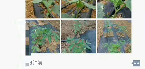 瀹濅赴涓囬殕鑲ヤ笟鏈夐檺鍏徃(閽劇敯瀹?_13.jpg 瀹濅赴涓囬殕鑲ヤ笟鏈夐檺鍏徃(閽劇敯瀹?_13.jpg