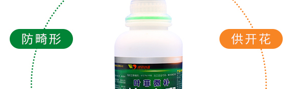 糖醇硼-葉菲微補-德邦葉菲 糖醇硼-葉菲微補-德邦葉菲