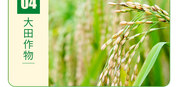 糖醇硼-葉菲微補-德邦葉菲 糖醇硼-葉菲微補-德邦葉菲