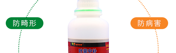 復(fù)合糖醇鈣-葉菲中補(bǔ)-德邦葉菲 復(fù)合糖醇鈣-葉菲中補(bǔ)-德邦葉菲