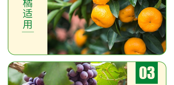 復(fù)合糖醇鈣-葉菲中補(bǔ)-德邦葉菲 復(fù)合糖醇鈣-葉菲中補(bǔ)-德邦葉菲