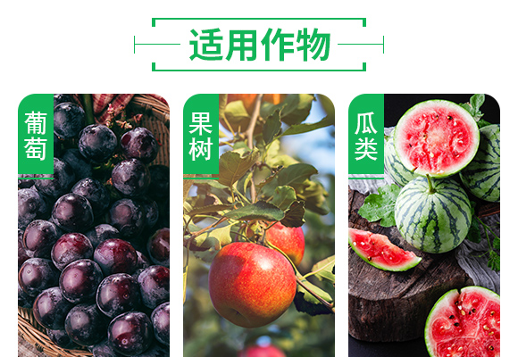 澶ч噺鍏冪礌姘存憾鑲ユ枡20-20-20+TE_05.jpg 澶ч噺鍏冪礌姘存憾鑲ユ枡20-20-20+TE_05.jpg