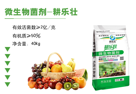 寰敓鐗╄弻鍓?鑰曚箰澹?鑰曡樹箰_03.jpg 寰敓鐗╄弻鍓?鑰曚箰澹?鑰曡樹箰_03.jpg