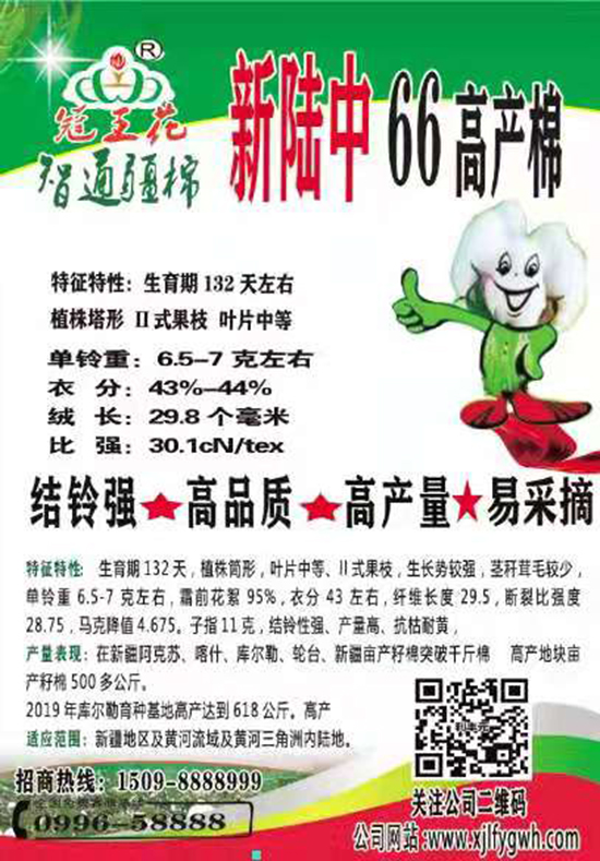 新陸中66號(hào)棉花種子-智通疆棉-利豐元 新陸中66號(hào)棉花種子-智通疆棉-利豐元