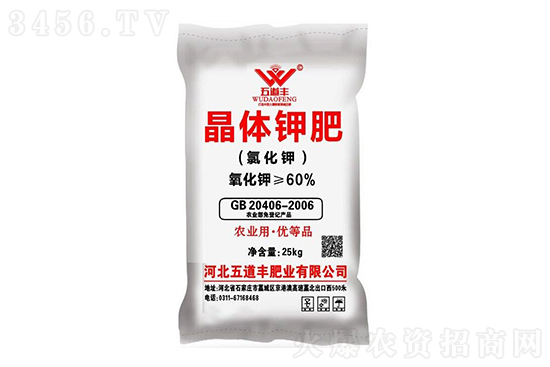 氯化鉀報(bào)價上漲!2020-12-19氯化鉀價格行情報(bào)價一覽 氯化鉀報(bào)價上漲!2020-12-19氯化鉀價格行情報(bào)價一覽