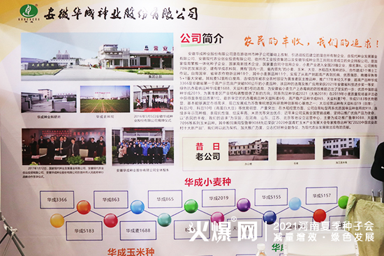 聚焦展會,掘金市場!2021河南夏季種子會,安徽華成期待您的蒞臨! 聚焦展會,掘金市場!2021河南夏季種子會,安徽華成期待您的蒞臨!