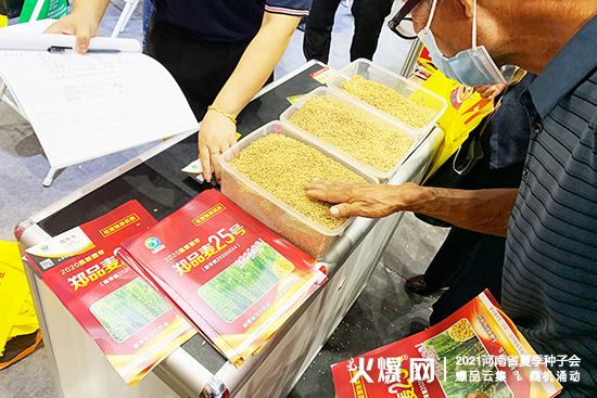 溫縣噸玉種業(yè)誠邀您參展2021河南省夏季種子會! 溫縣噸玉種業(yè)誠邀您參展2021河南省夏季種子會!