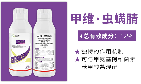 鐢茬淮路铏灗鑵堟?zhèn)瑡巩鍓?瀹濈劧鐢熺墿_03.jpg 鐢茬淮路铏灗鑵堟?zhèn)瑡巩鍓?瀹濈劧鐢熺墿_03.jpg