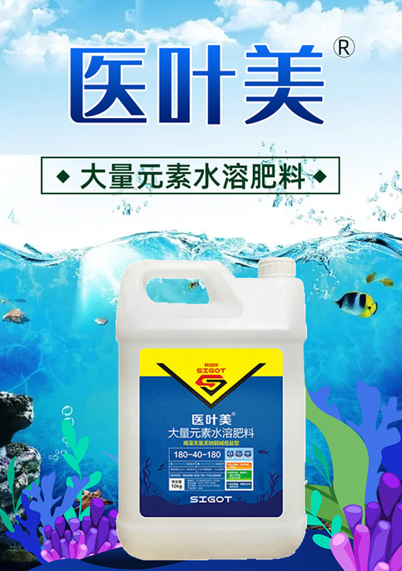 鍖誨彾緹?璧涘浐鐗筥01.jpg 鍖誨彾緹?璧涘浐鐗筥01.jpg