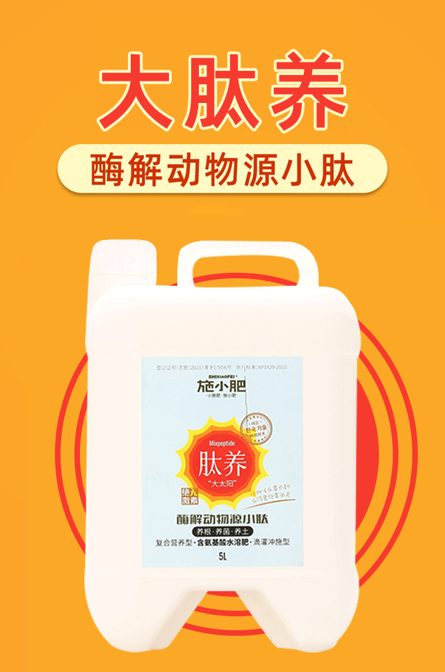 6382460651228127198398507.gif 6382460651228127198398507.gif