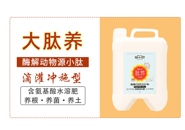 6382460652445324418750188.gif 6382460652445324418750188.gif