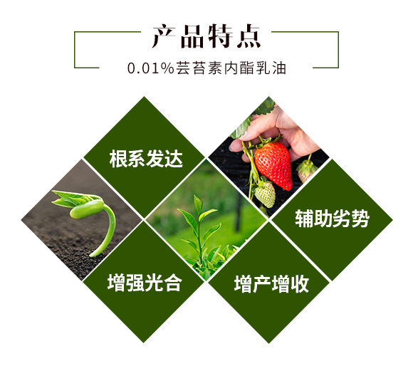 鑱婂煄璇哄皵鐢熺墿縐戞妧鏈夐檺鍏徃_03.jpg 鑱婂煄璇哄皵鐢熺墿縐戞妧鏈夐檺鍏徃_03.jpg