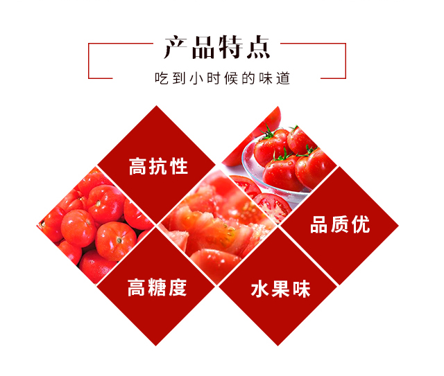 浜挦鍏彿-瑗跨孩鏌跨瀛?浜挦綰㈠枩_02.jpg 浜挦鍏彿-瑗跨孩鏌跨瀛?浜挦綰㈠枩_02.jpg