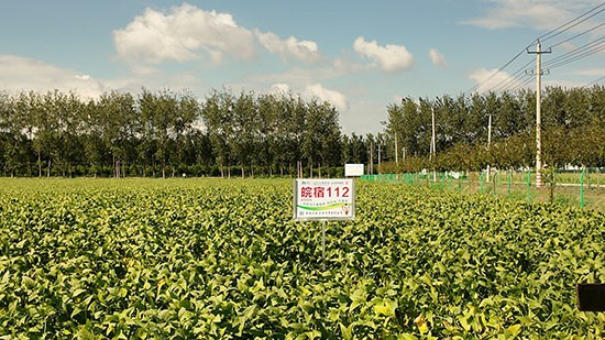 璞唦1.jpg 璞唦1.jpg