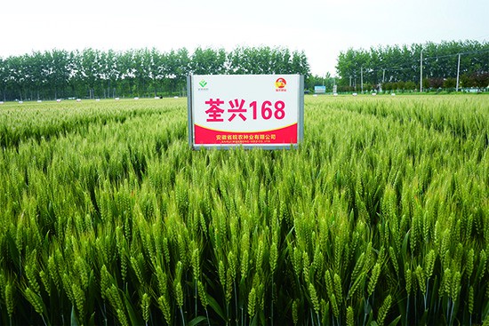 1-24110609223R04~1.jpg 1-24110609223R04~1.jpg