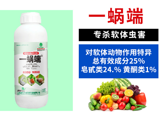 涓铚楃錛堝杞綋鍔ㄧ墿浣滅敤鐗瑰紓錛?寰峰▉鏈崏_02.jpg 涓铚楃錛堝杞綋鍔ㄧ墿浣滅敤鐗瑰紓錛?寰峰▉鏈崏_02.jpg