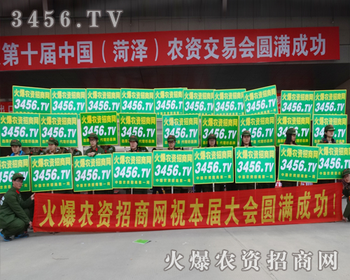 2015^лr(nng)Y̾W(wng)