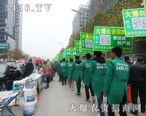 r(nng)Y̾W(wng)2015ֲϷv