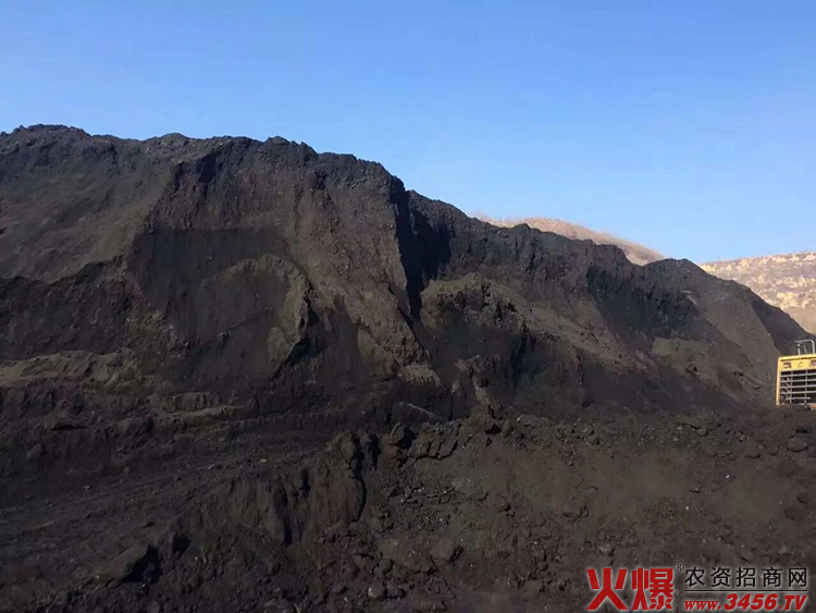 山西盛世藍(lán)天生物科技有限公司