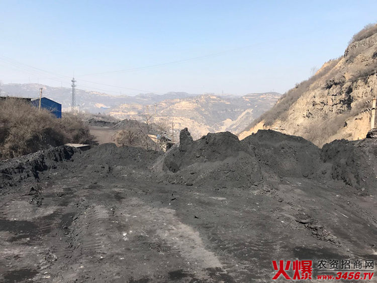 山西盛世藍(lán)天生物科技有限公司