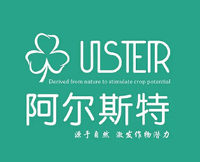 {(ln)˹(ɽ|)IB(yng)޹˾