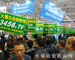 2015ɽ|ֲ(hu)r(nng)YW(wng)ɞչ(hu)һeµL(fng)