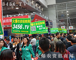 21ɽ|ֲϣr(nng)Y̾W(wng)չL(fng)