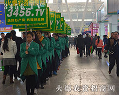 rY̾W(wng)ľӢ¿