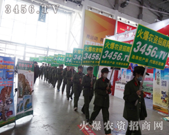 SGɫ(zhn)ʿxo؟