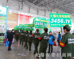 3456.TVҧoPوԳһ