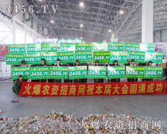 2015rY̾W(wng)³l(f)