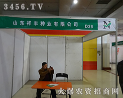 ɽ|SNI(y)2015ʝr(nng)YוVY(ji)I(y)ѣ