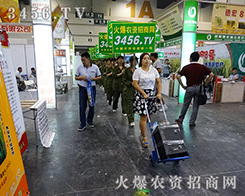 3456.TVһֱ·ͣЪ ل(chung)x