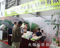 KG۬F(xin)r(nng)I(y)l(f)չɷ޹˾2015r(nng)(hu)-201512r(nng)Y[(hu)