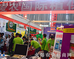 rֲ޹˾2015r-201512rY[