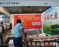 ݘI(y)N̎2015r(nng)-201512r(nng)Y[