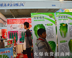 TNI(y)޹˾2015r(nng)-201512r(nng)Y[